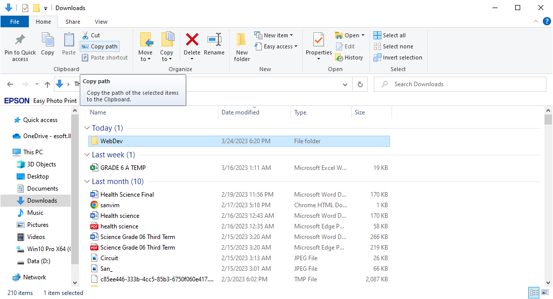File Explorer